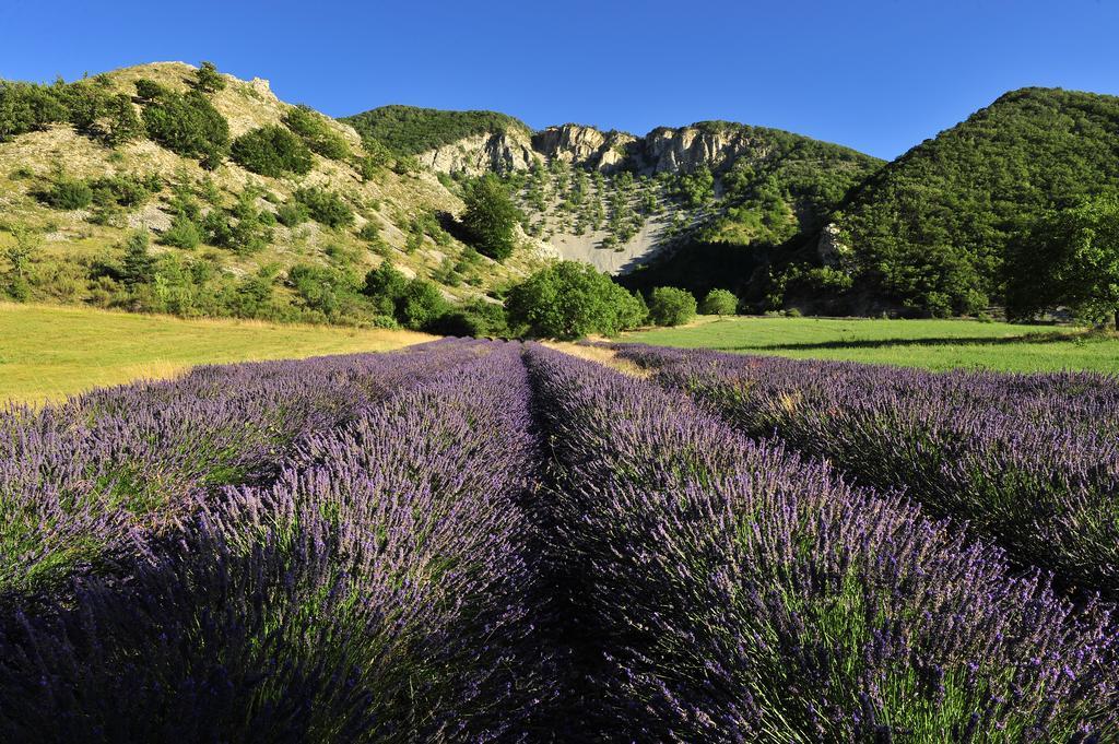 Vvf Drome Provence Hotell Montbrun-les-Bains Eksteriør bilde